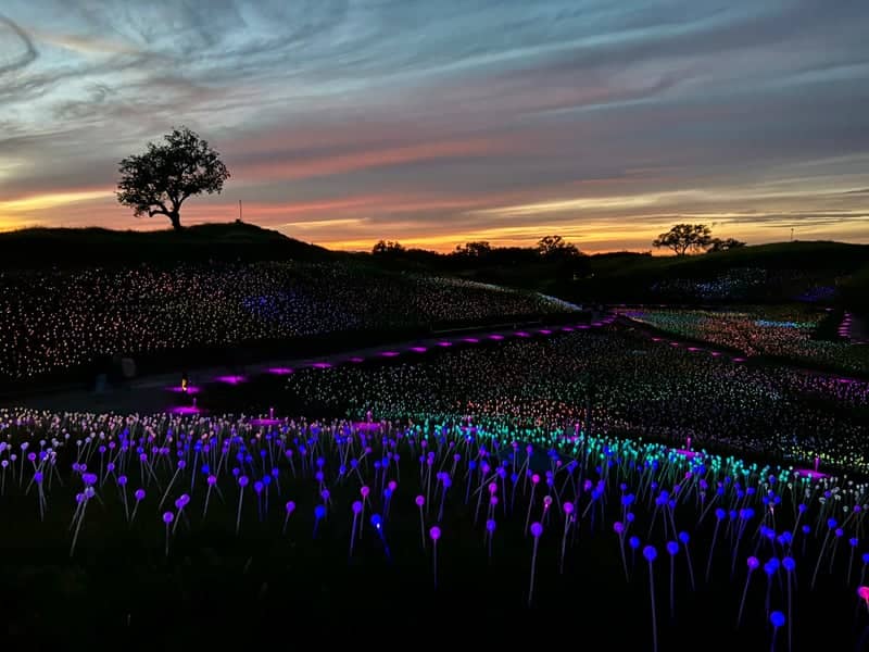 Sensorio Field of Light - Image 1