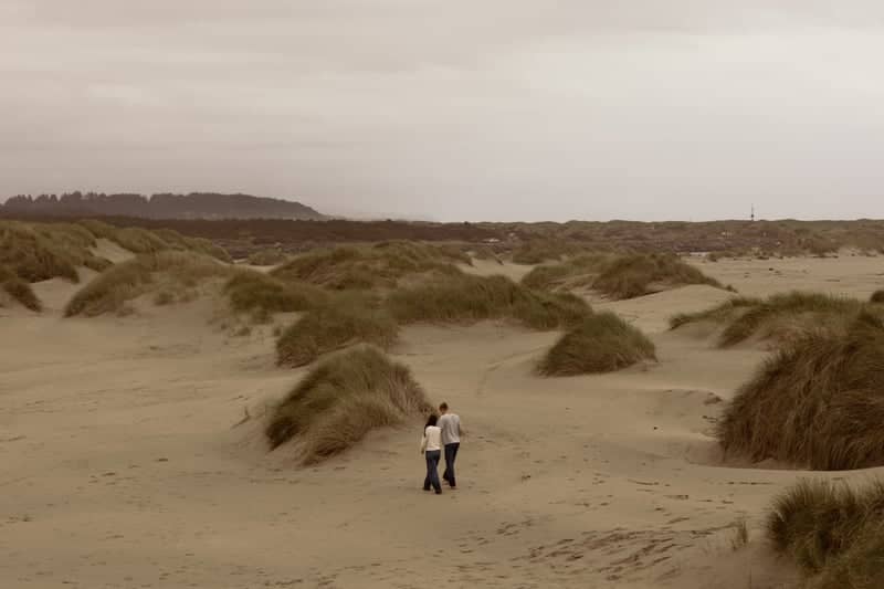 South Beach State Park Dunes - Image 1