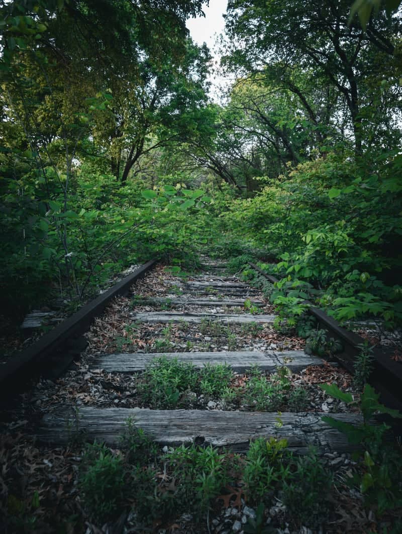 Overgrown Abandoned Railway - Image 1