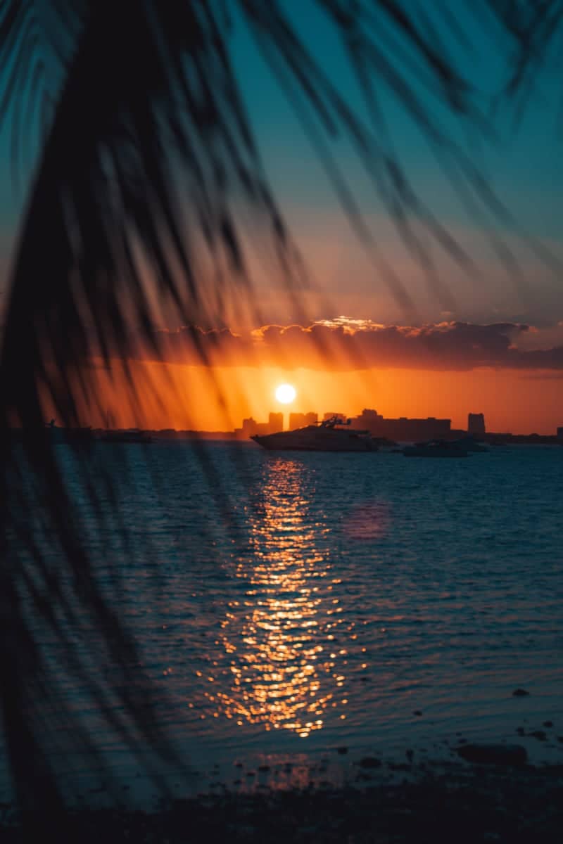 Rickenbacker Causeway Shoreline - Image 1