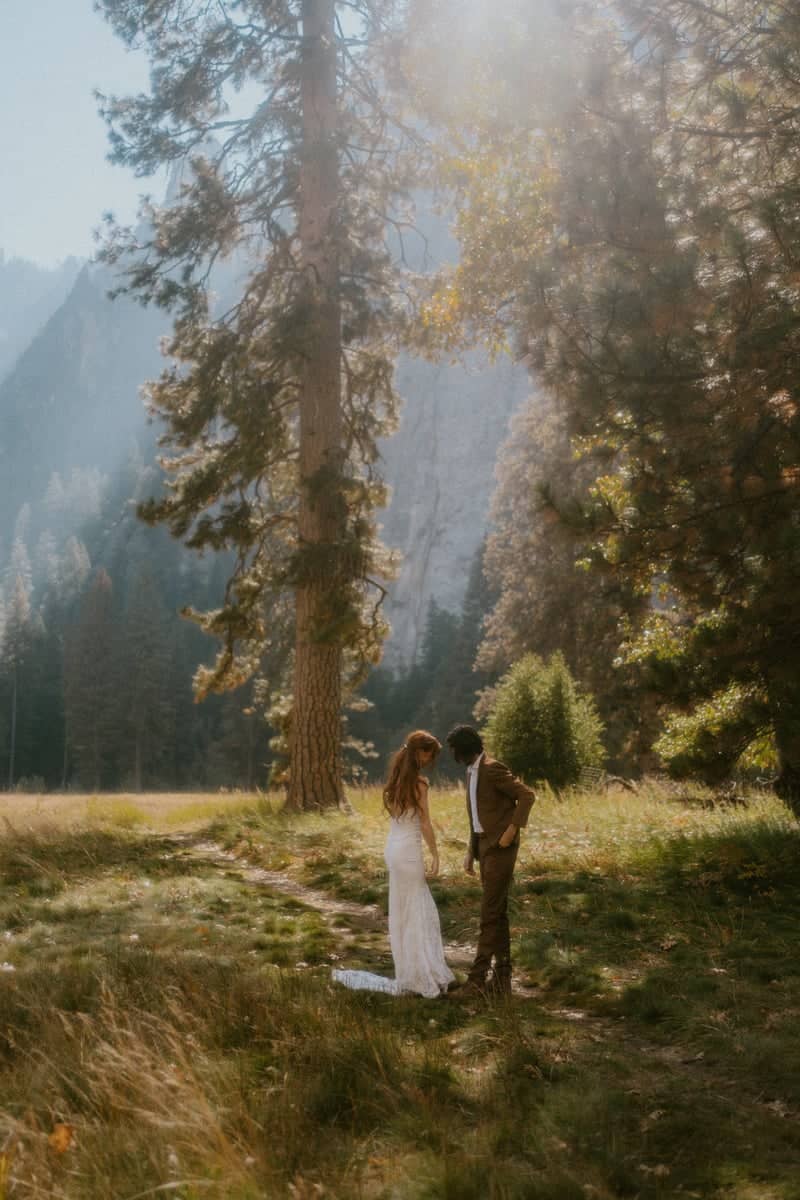 Yosemite Valley Meadow - Image 1