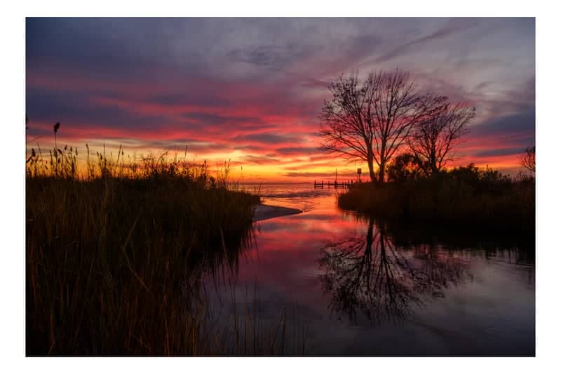 Nanticoke River Marsh - Image 1