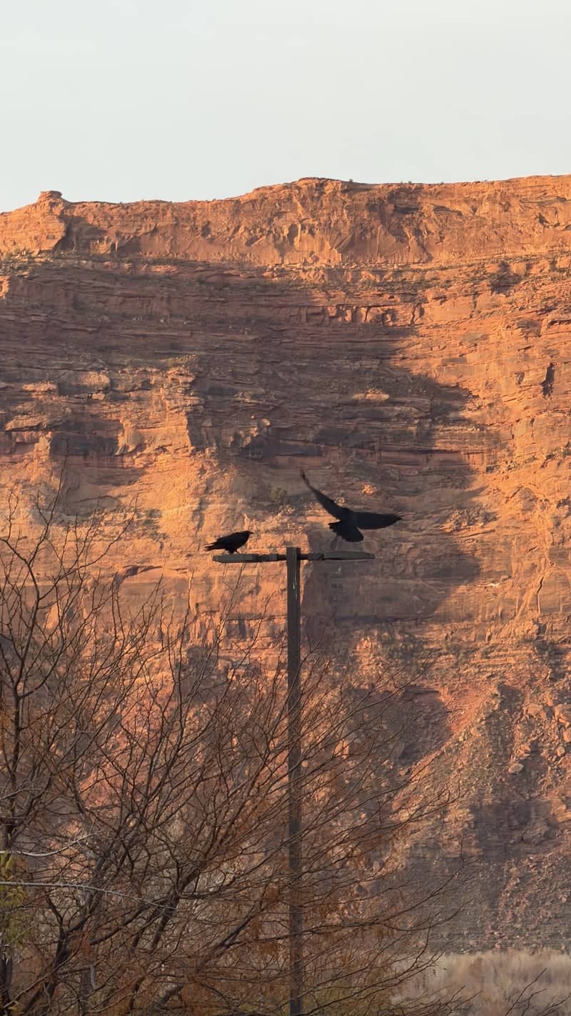 Moab Red Rock Cliffs - Image 1