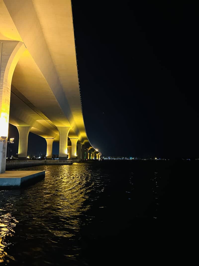 Roosevelt Bridge Underpass - Image 1