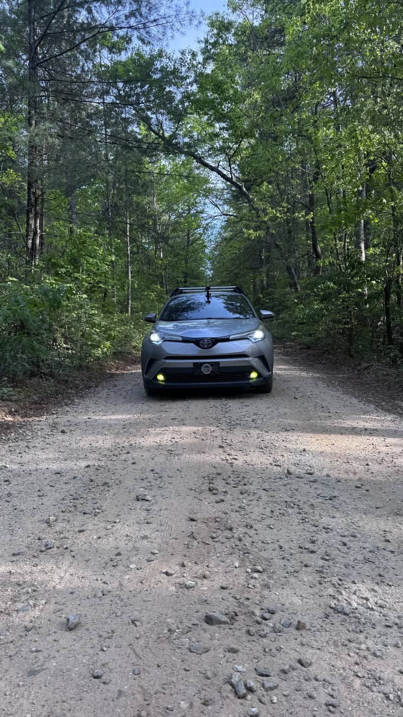 Blue Ridge Forest Road - Image 1