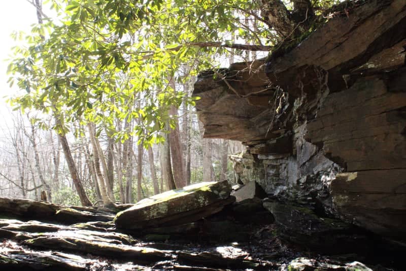 Ohiopyle State Park Rock Shelter - Image 1