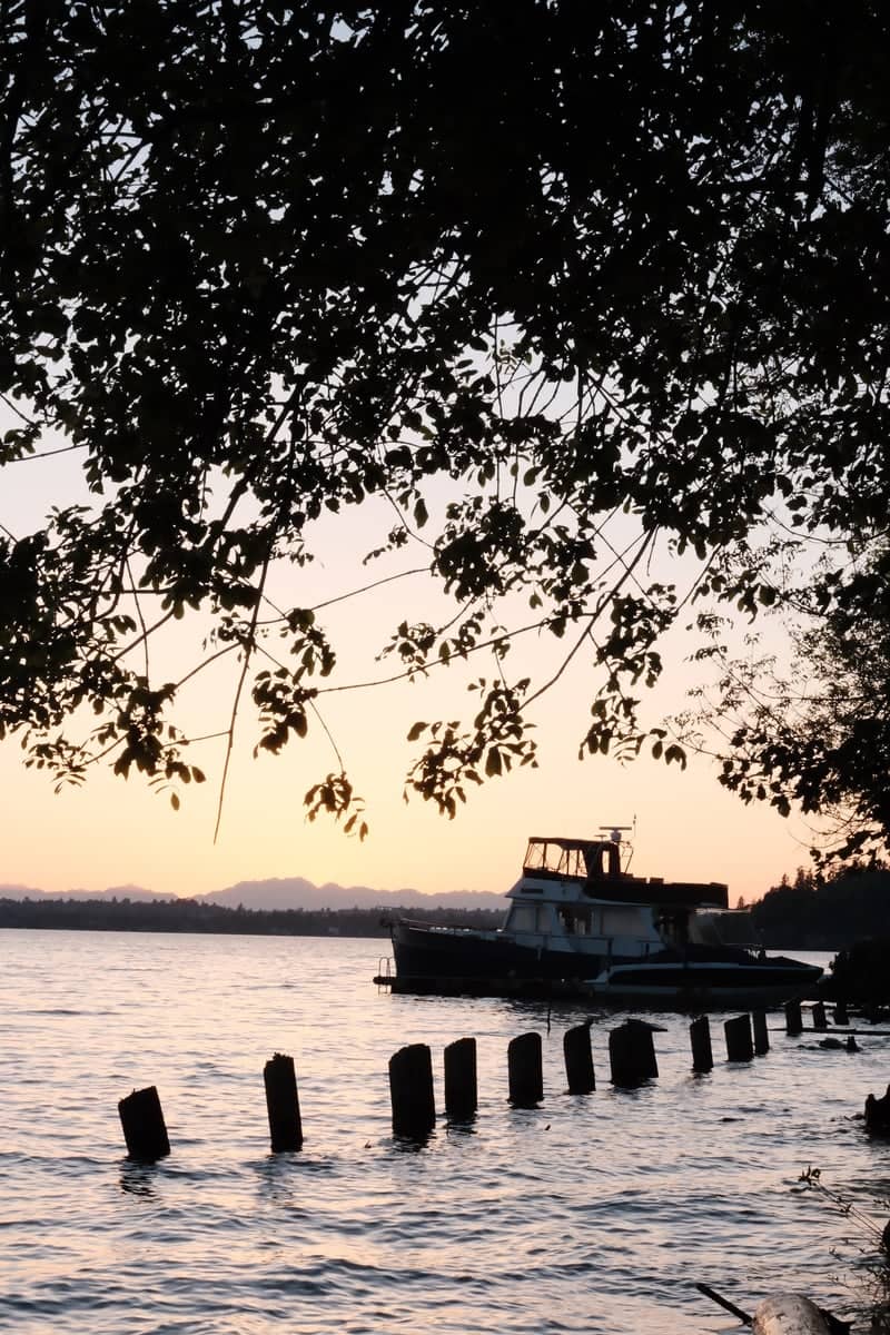 Lake Washington Shoreline, Renton - Image 1