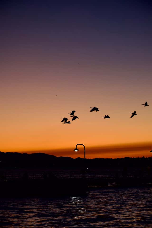 Gene Coulon Memorial Beach Park