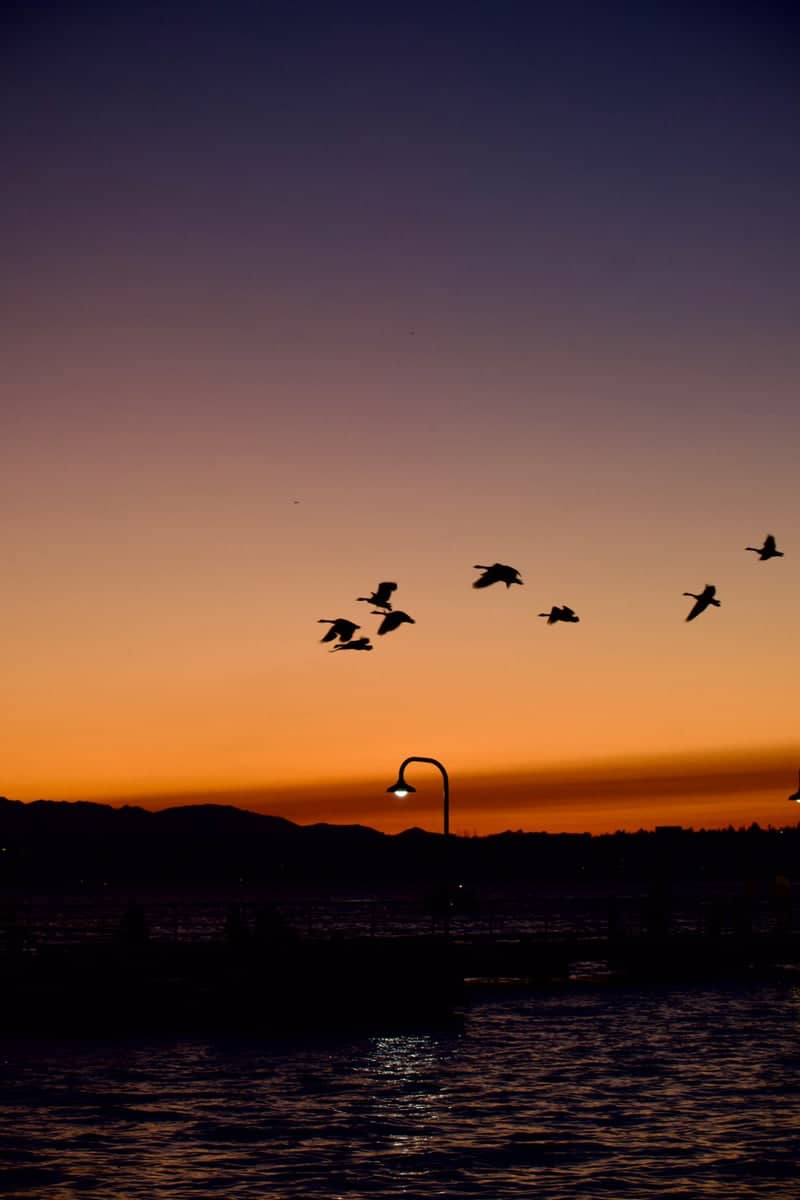 Gene Coulon Memorial Beach Park - Image 1