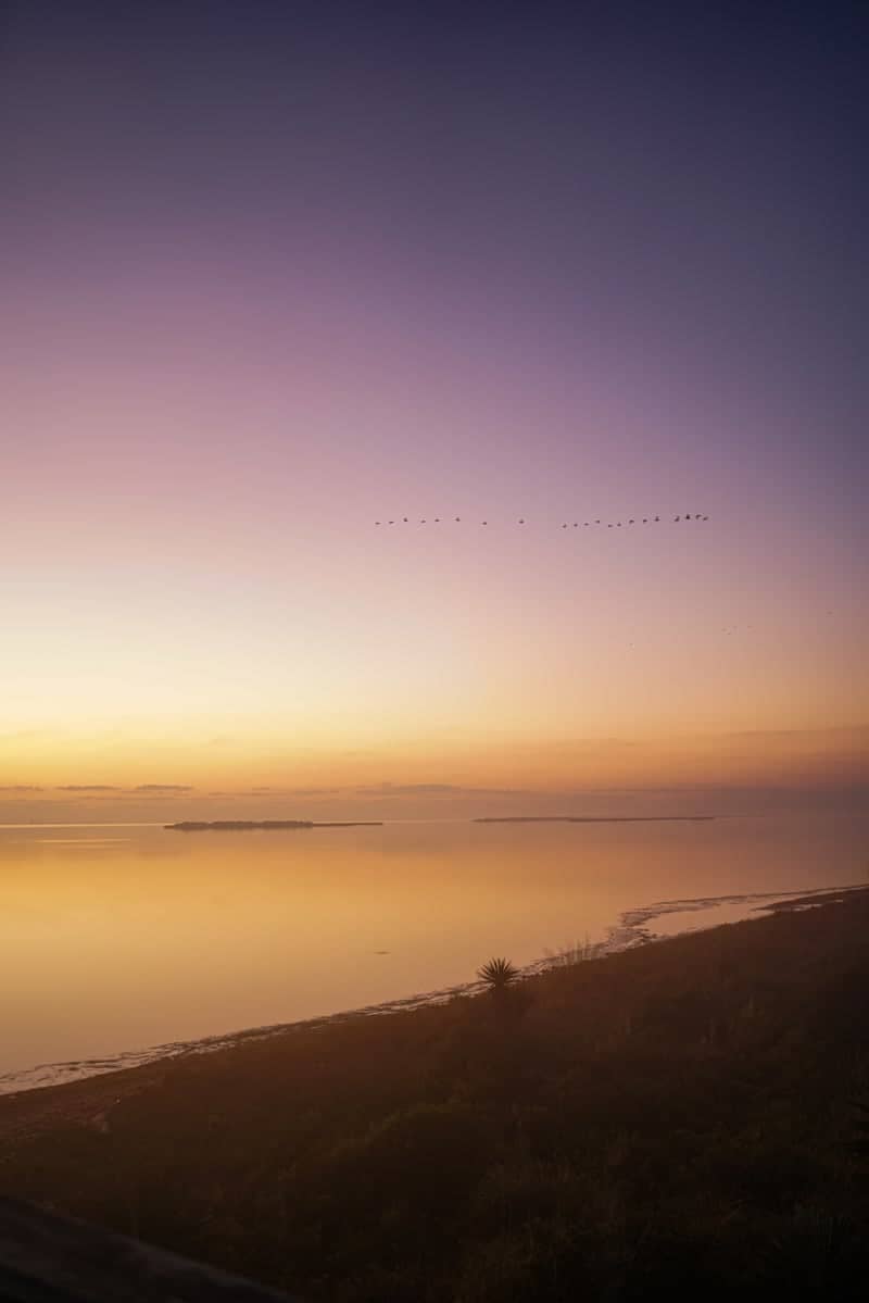 Laguna Atascosa National Wildlife Refuge - Image 1