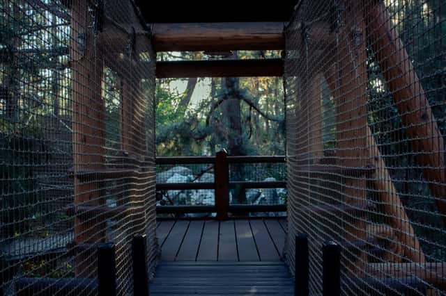 Redwood Creek Challenge Trail