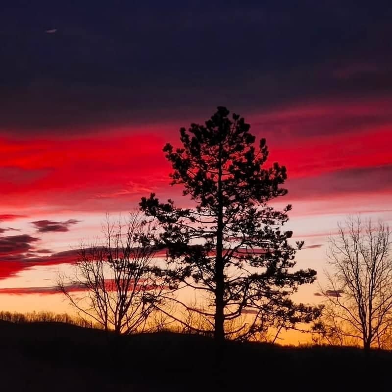 Stout Countryside Sunset - Image 1