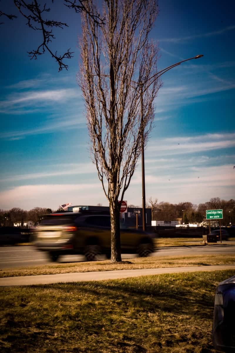 Sterling Heights Roadside Motion - Image 1