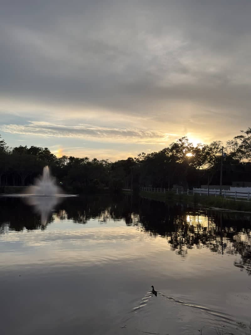 Gulfport Neighborhood Pond - Image 1
