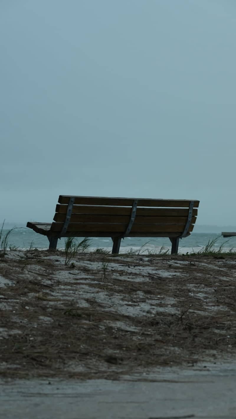 Clam Bayou Nature Park - Image 1