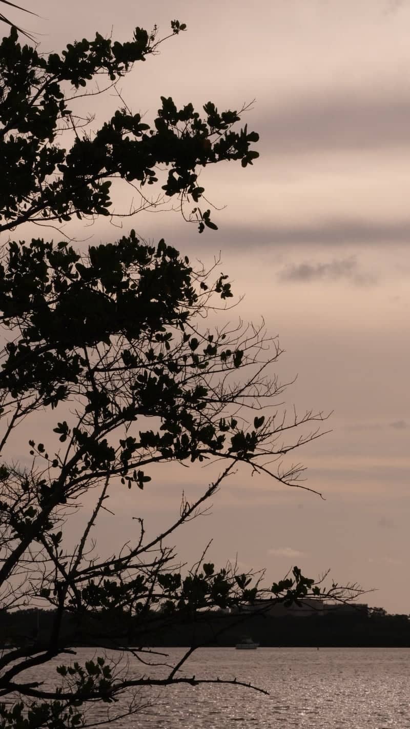 Boca Ciega Bay Waterfront - Image 1