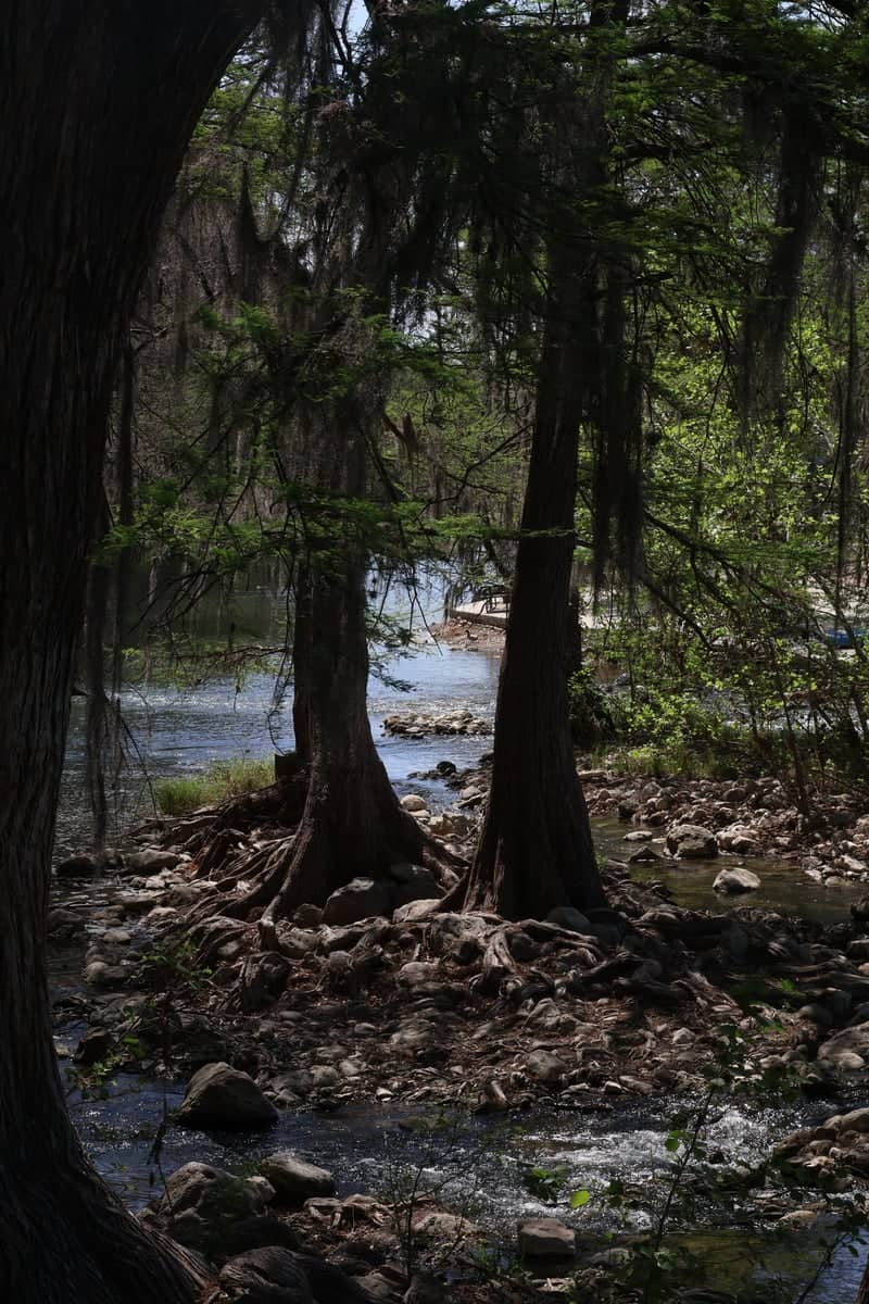 Guadalupe River at Gruene - Image 1