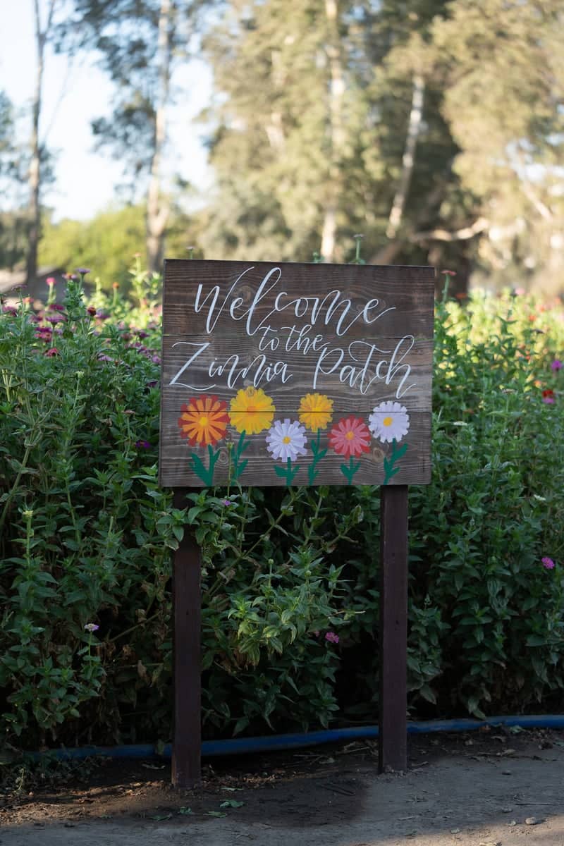 The Zinnia Patch - Image 1