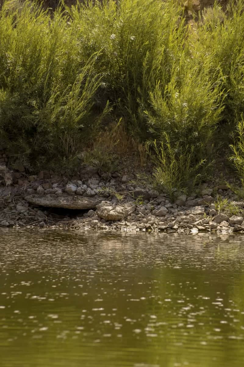 Crescent Valley Waterway - Image 1