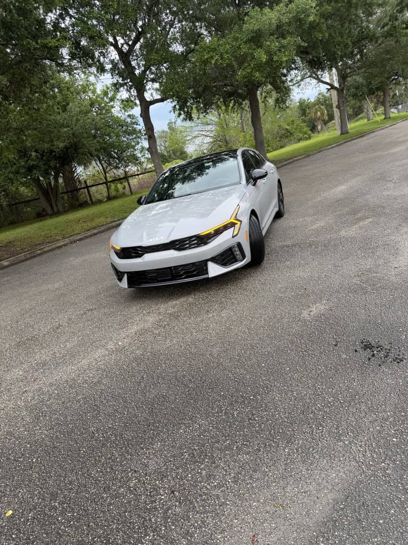 Vero Beach Tree-Lined Roadway - Image 1