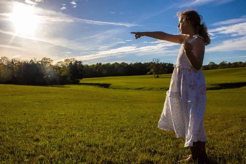 Chickamauga Battlefield Meadows - Image 1