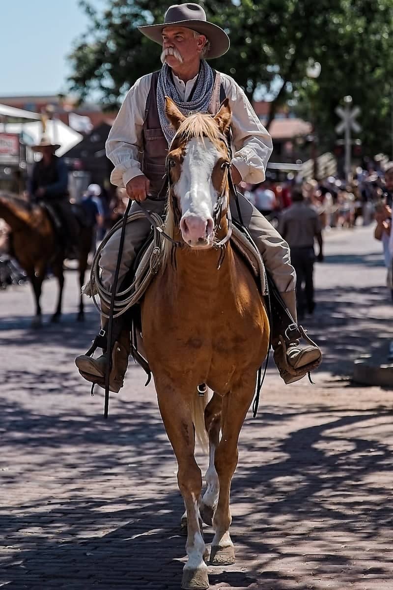 Fort Worth Stockyards - Image 1