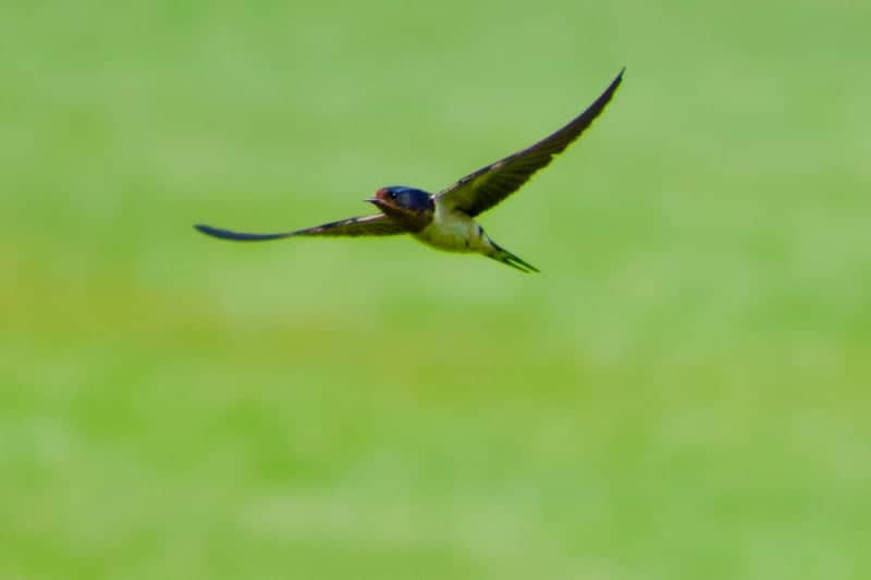 Firestone Metro Park - Image 1