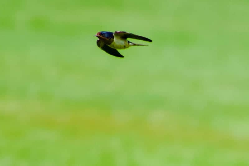 Firestone Metro Park - Image 1