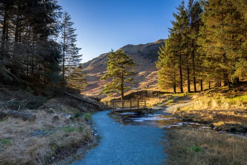 Easedale Tarn Trail Bridge - Image 1