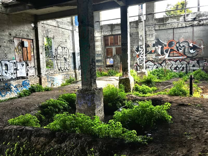 West Berkeley Industrial Ruins - Image 1
