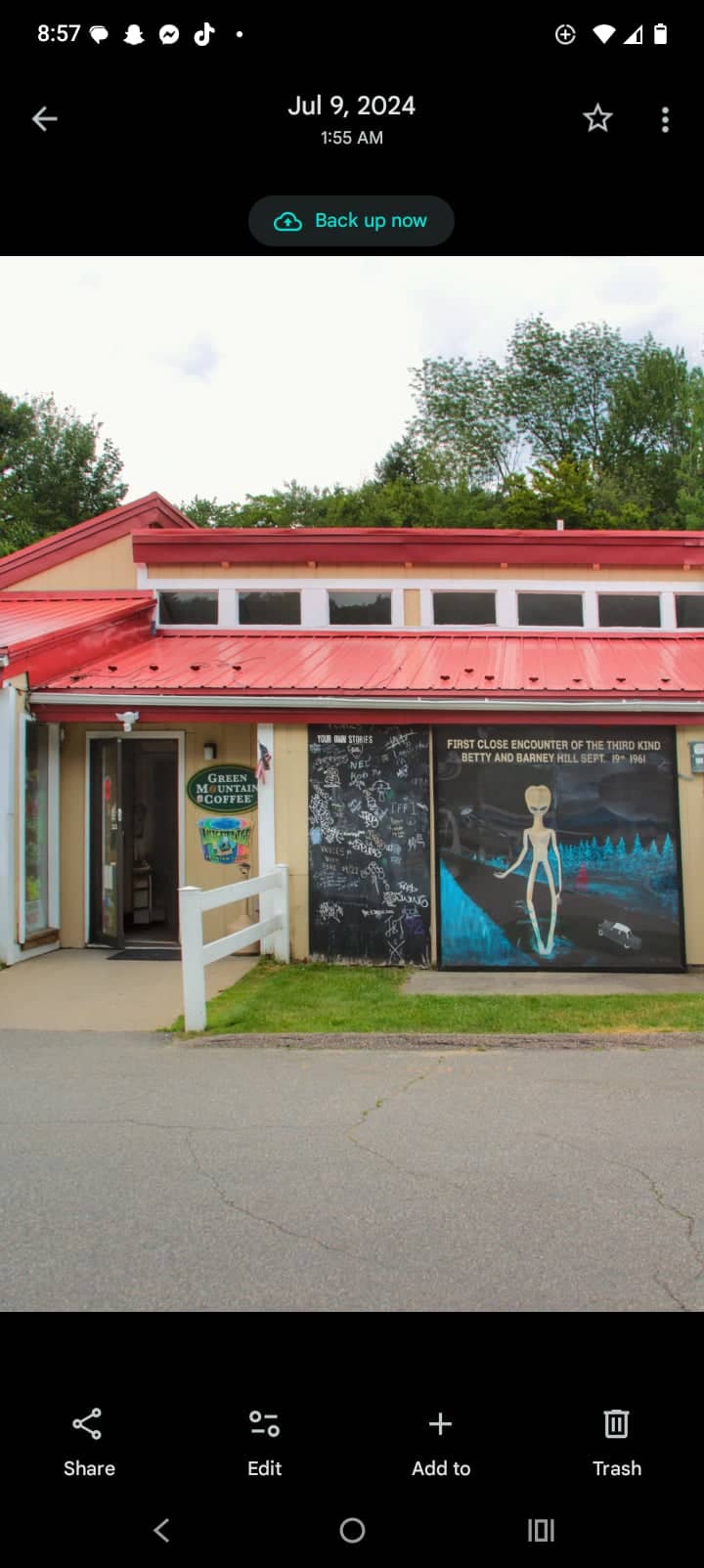 Betty and Barney Hill Alien Abduction Mural - Image 1