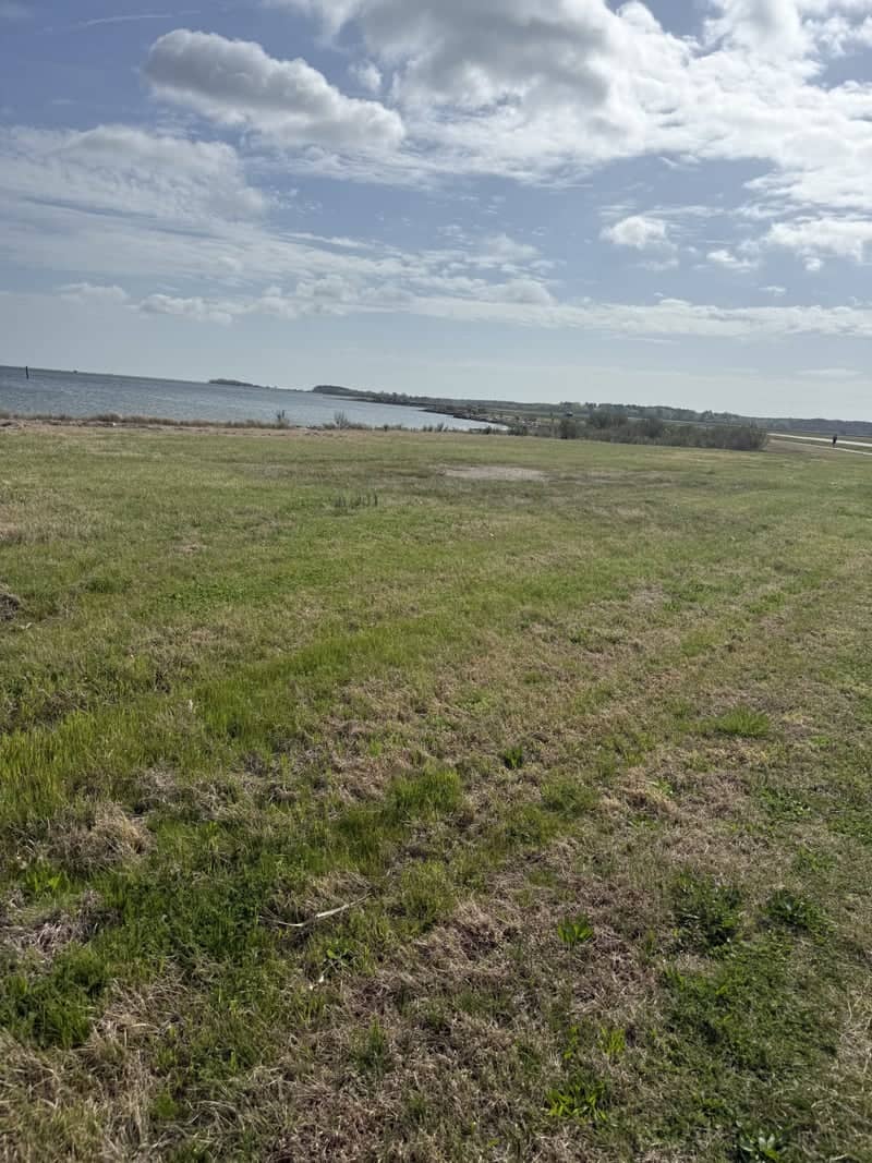 Back River Shoreline - Image 1