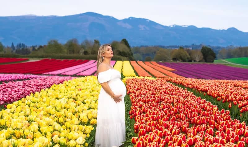 Skagit Valley Tulip Fields - Image 1