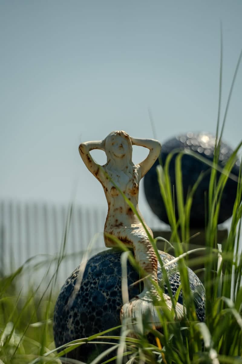 Fire Island Deer at Ocean Beach - Image 3