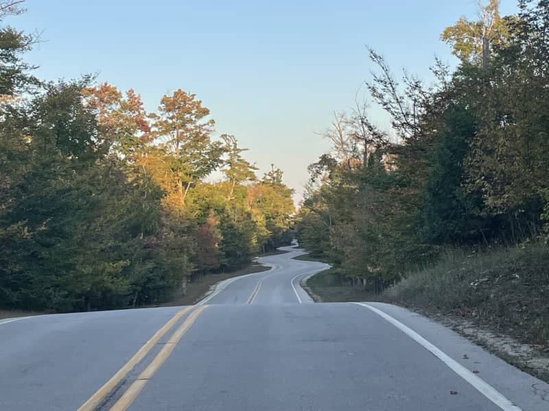Door County Winding Road - Image 1