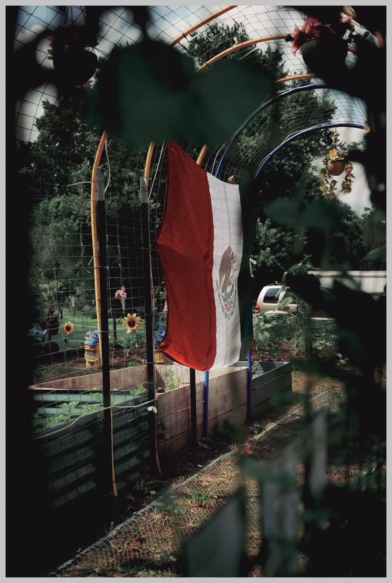 Rockford Community Garden - Image 1