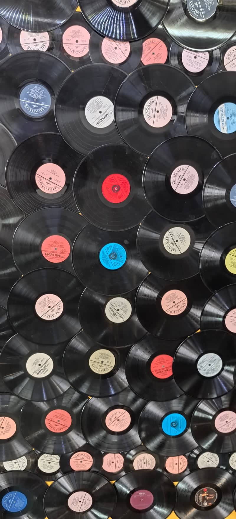 Melodiya Vinyl Wall - Image 1