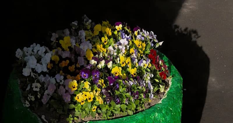 Urban Flower Planter on Marshal Zhukov Avenue - Image 1