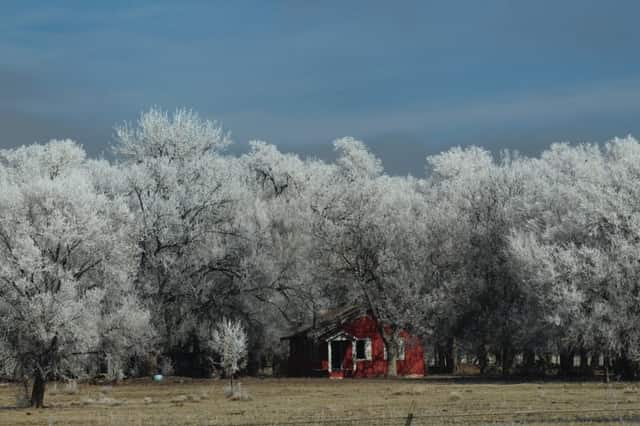 Red Cabin in Frosted Trees