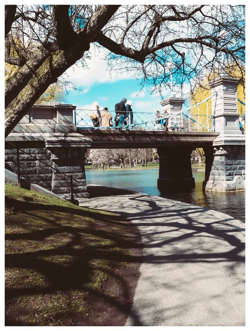 Lagoon Bridge at Boston Public Garden - Image 1