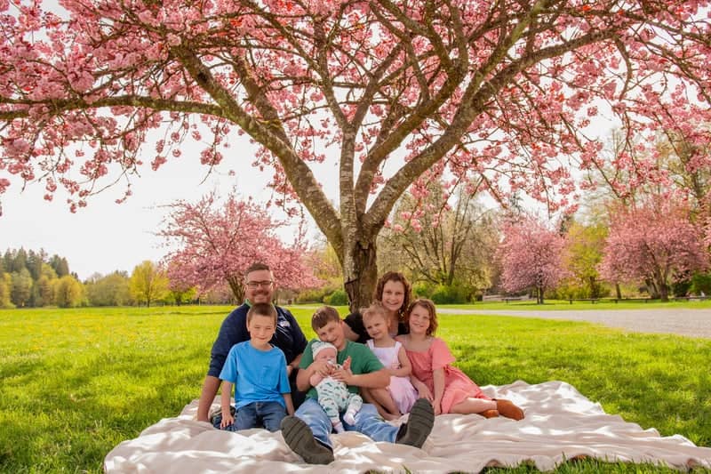 Arlington Cherry Blossom Grove - Image 1