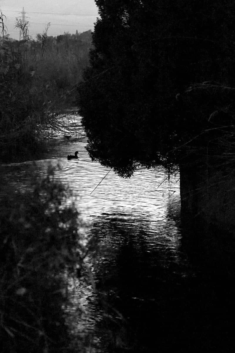 Giofyros River Wetlands - Image 1