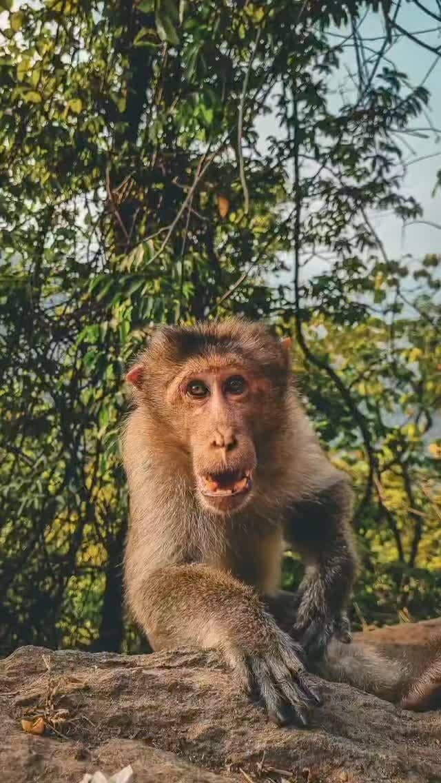 Vaikom Wildlife Trail - Image 1