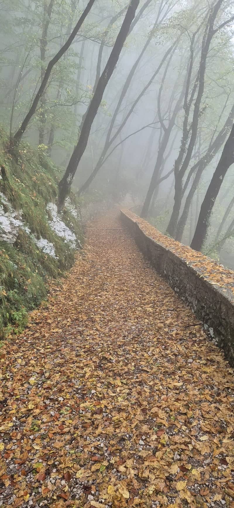 Volta Mantovana Woodland Trail - Image 1