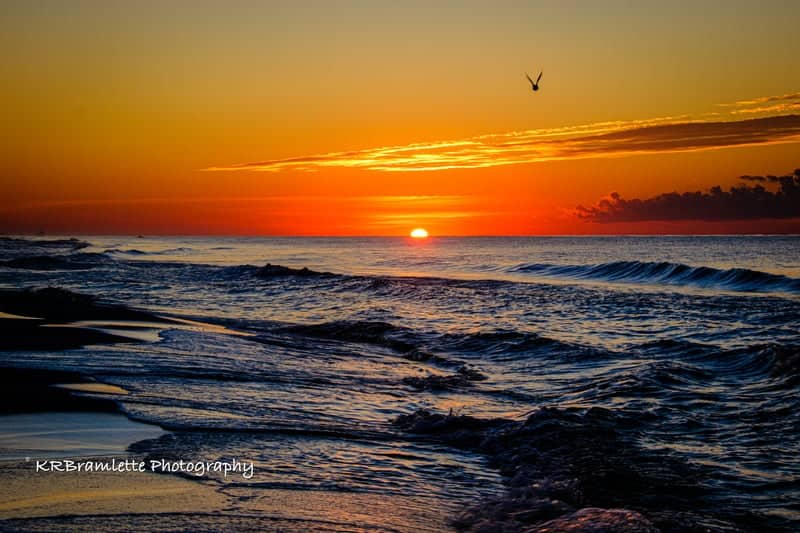 Navarre Beach - Image 1