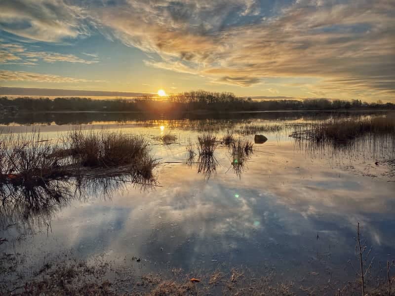 Weweantic River Marshlands - Image 1