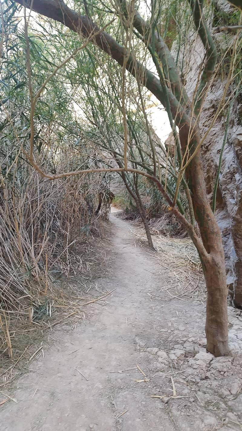 Boquillas Canyon Trail - Image 1