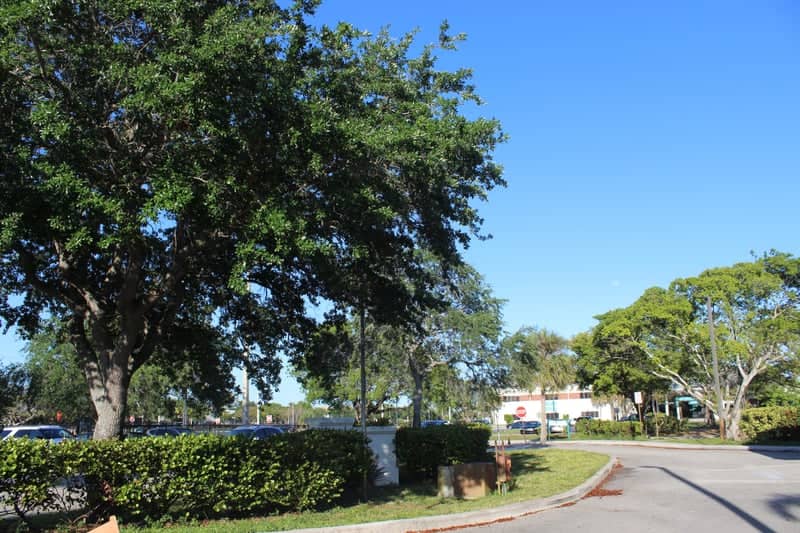 Nova Southeastern University Campus Grounds - Image 1