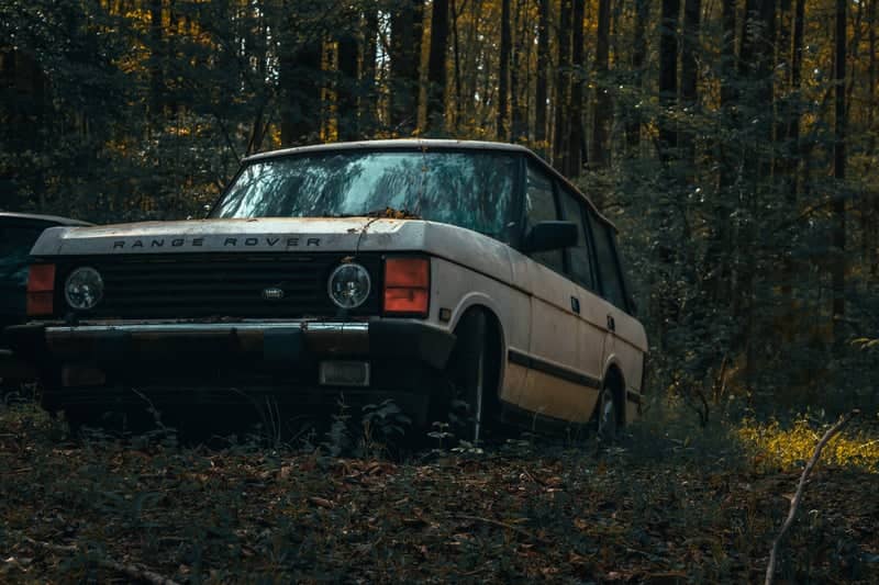 Woodland Classic Car Graveyard - Image 1