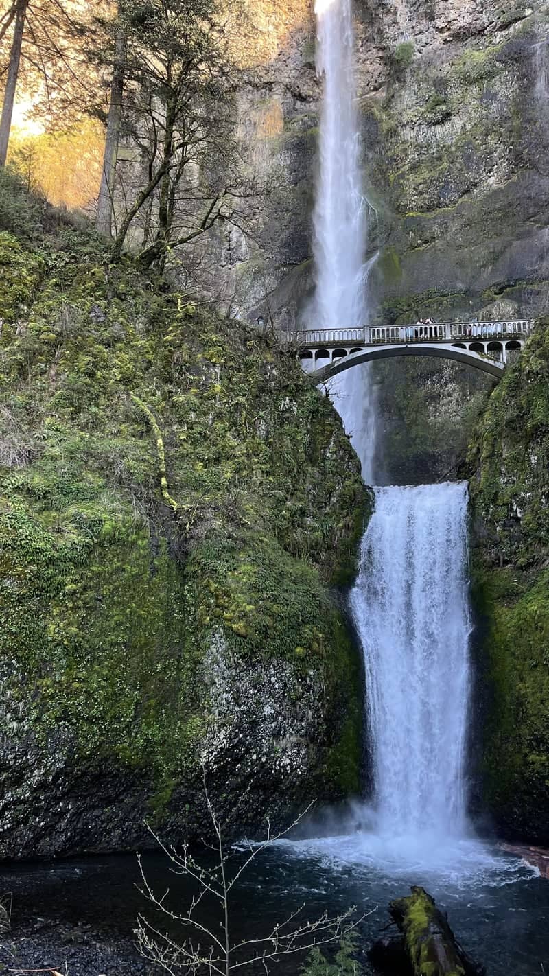 Multnomah Falls - Image 1